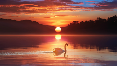 metaphor sentence with the word sunset​