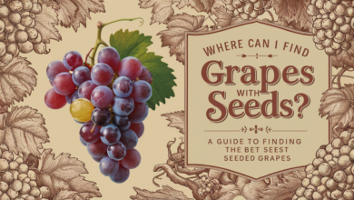where can i find grapes with seeds​